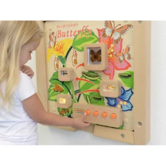 Nástenná vzdelávacia tabuľka s motýľovým životným cyklom