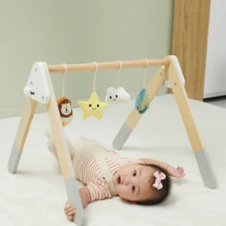 PolarB Baby Gym Stojan pre dojčatá