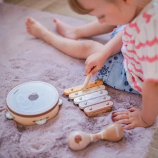 Sada hudobných nástrojov VIGA PolarB s ježkom